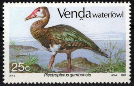 South Africa Venda 163 MNH Waterfowl Birds Zayix Stamps 0325S087