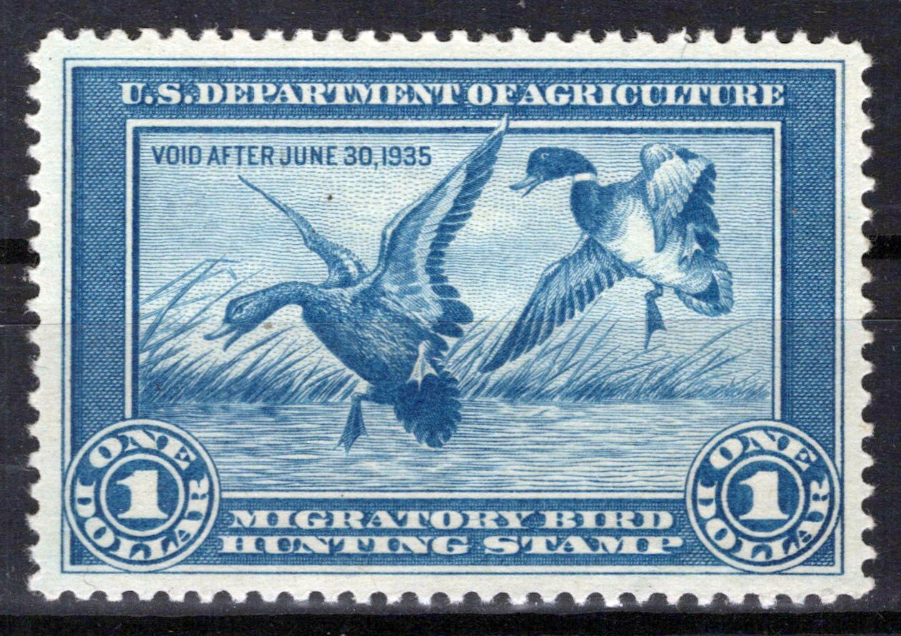 US RW1 MH XF $1 blue Mallards Alighting Duck Revenue Zayix Stamps 0225MAR0019