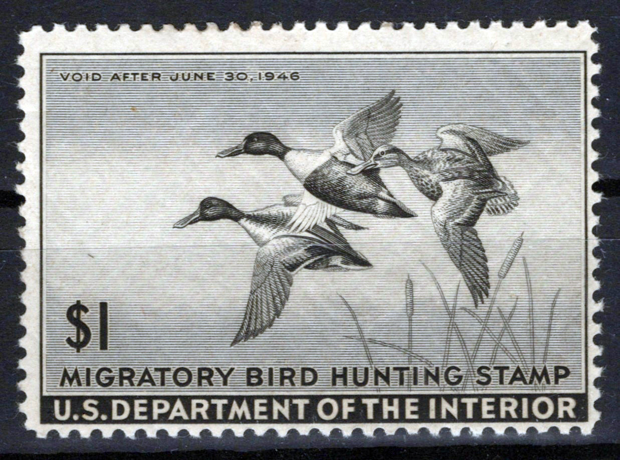 US RW12 MH FVF $1 black Shoveller Duck Revenue Zayix Stamps 0225MAR0030