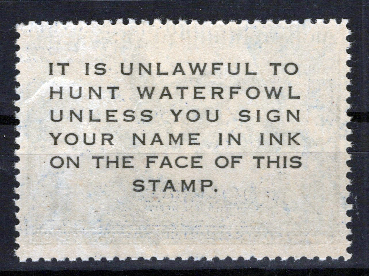 US RW19 MLH VF $2 deep ultra Haarlequin Duck Revenue Zayix Stamps 0225MAR0037