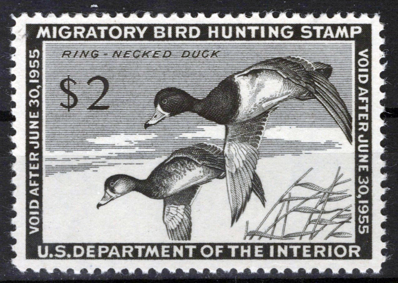US RW21 MNH VF $2 black Ring-Necked Duck Revenue Zayix Stamps 0225MAR0039