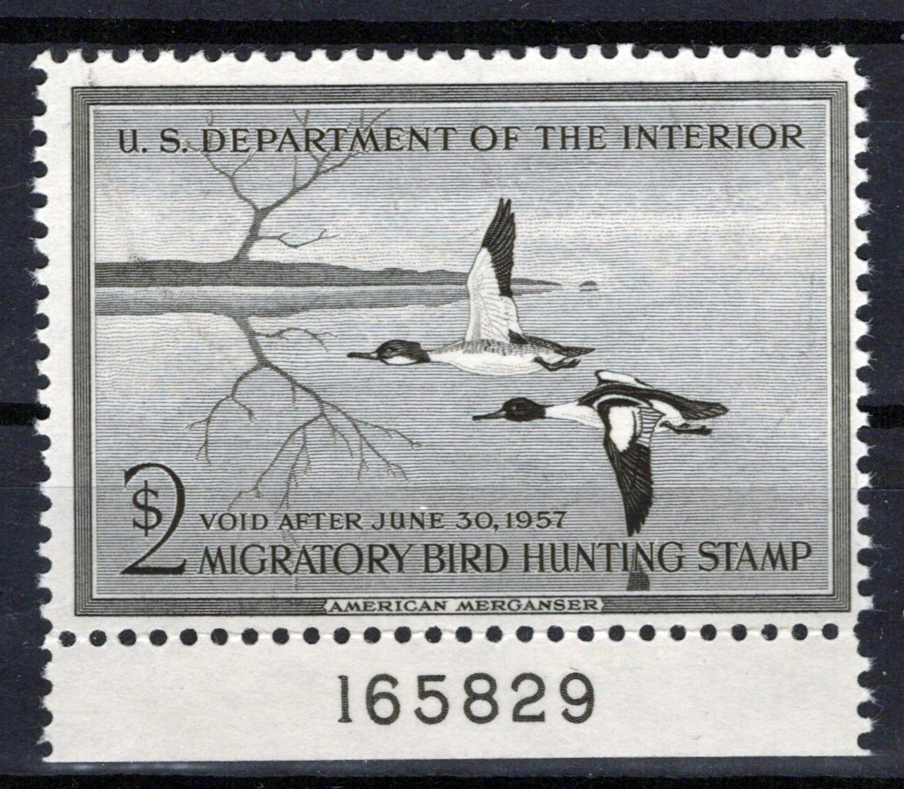 US RW23 MNH FVF $2 American Merganser Duck Revenue Zayix Stamps 0225MAR0041