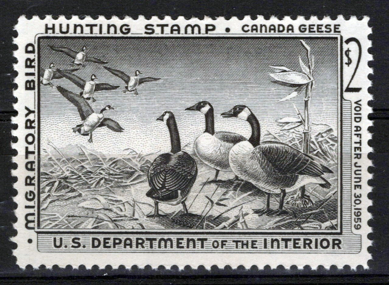 US RW25 MNH FVF $2 black Canada Geese Duck Revenue Zayix Stamps 0225MAR0043