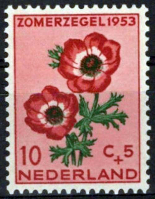 Netherlands B252 MNH Semi-Postal Flowers Anemone Zayix Stamps 0225S0221
