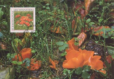 Liechtenstein Maximum Card FDC Fungi, Mushrooms ZAYIX 1224A0031