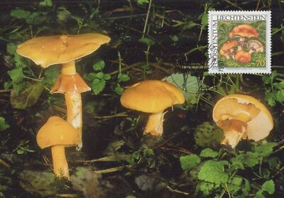 Liechtenstein Maximum Card FDC Fungi, Mushrooms ZAYIX 1224A0032