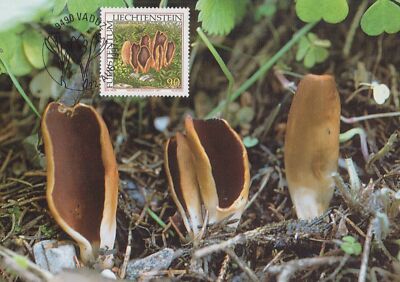 Liechtenstein Maximum Card FDC Fungi, Mushrooms ZAYIX 1224A0033