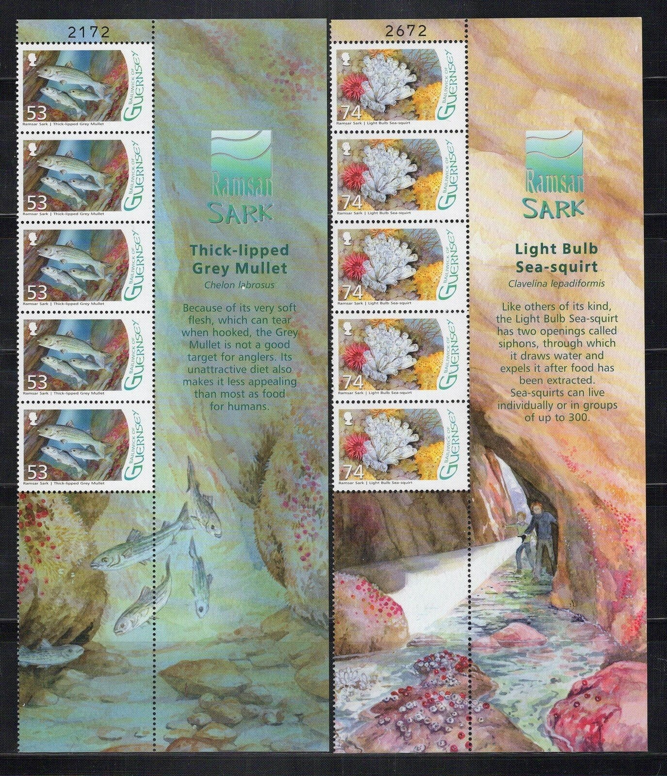 Guernsey 972-977 MNH Nature Wetlands Fish Birds Marine Life ZAYIX 1223L0018