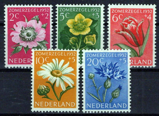 Netherlands B238-B242 MNH Semi-Postal Flowers Plants Zayix Stamps 0225S0226M