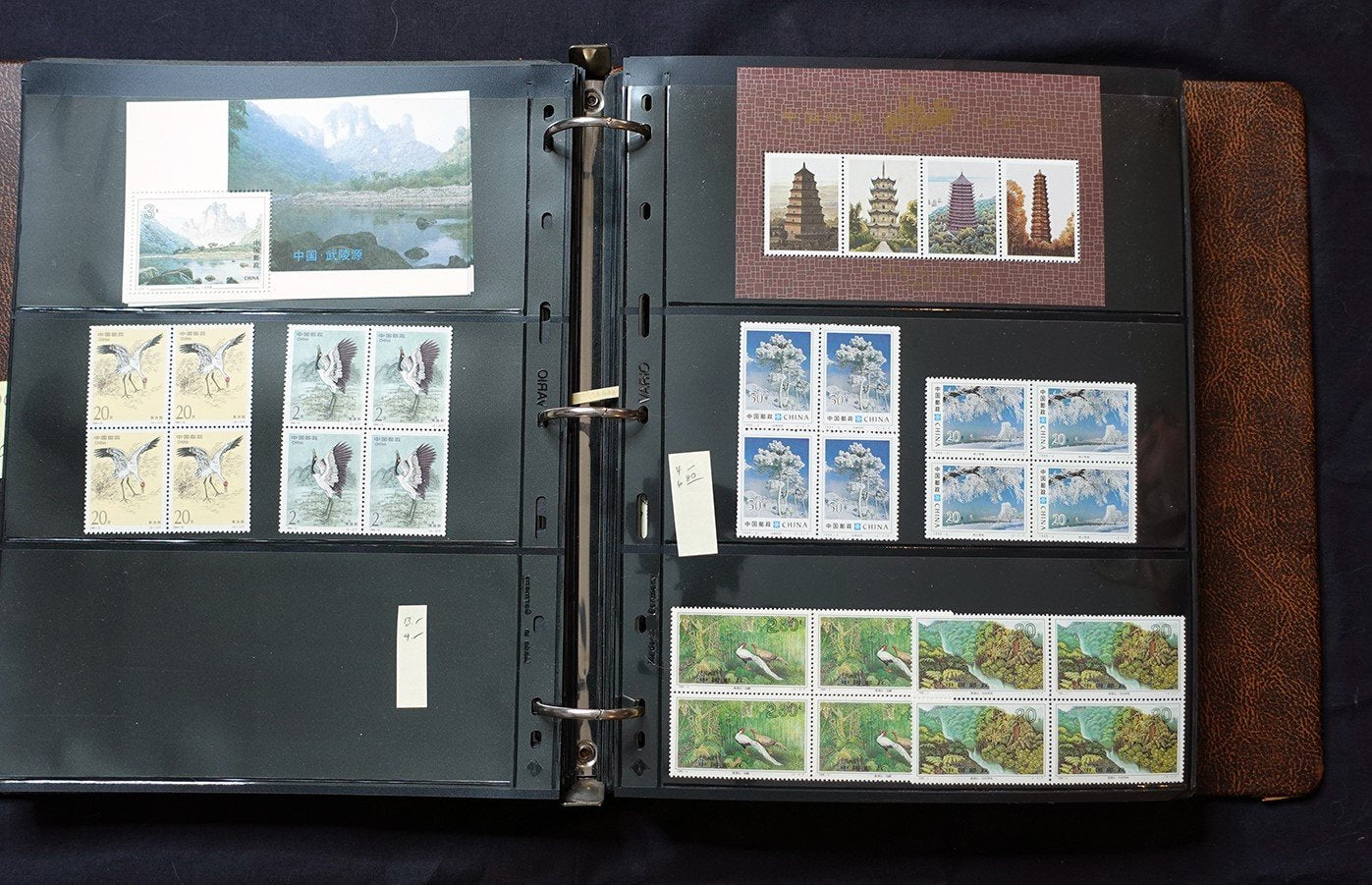 China PRC Stamp Collection MNH Blocks/Souvenir Sheets 1982-1996 CV $3800+ ZAYIX