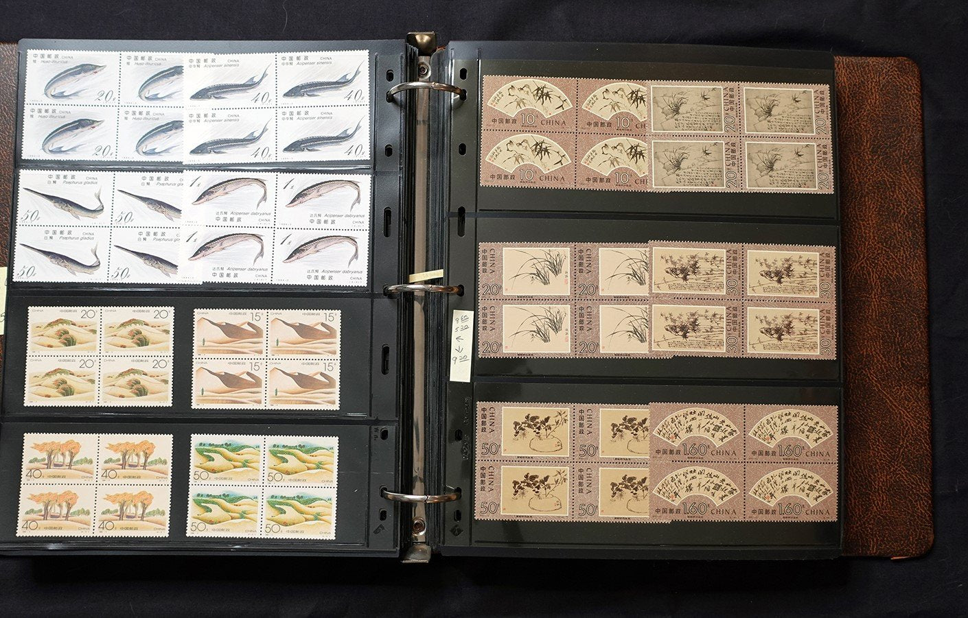 China PRC Stamp Collection MNH Blocks/Souvenir Sheets 1982-1996 CV $3800+ ZAYIX