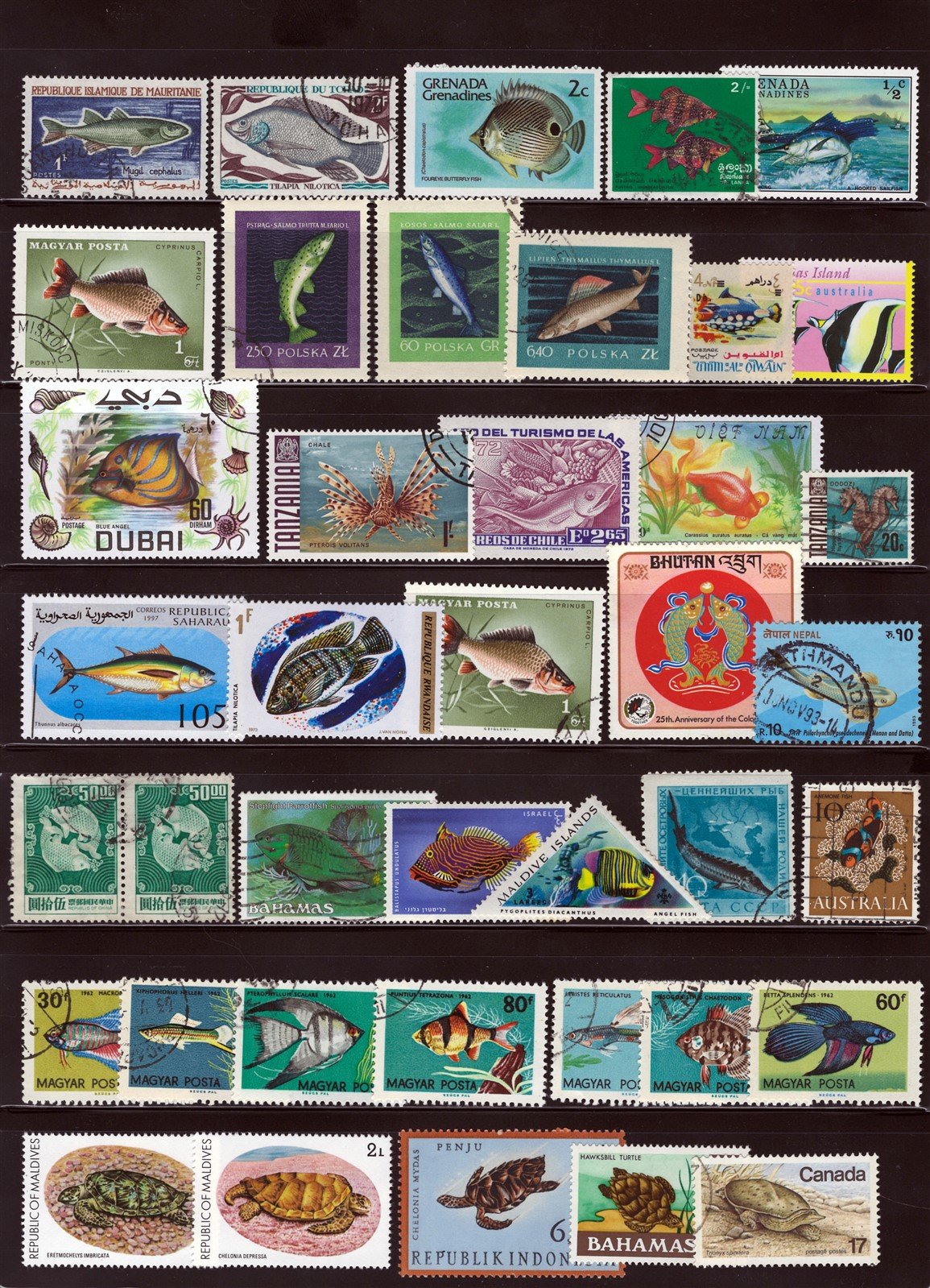 Marine Life, Fish, Whales, Seals Mint/Used Collection on 8 Pages ZAYIX 0525L0007