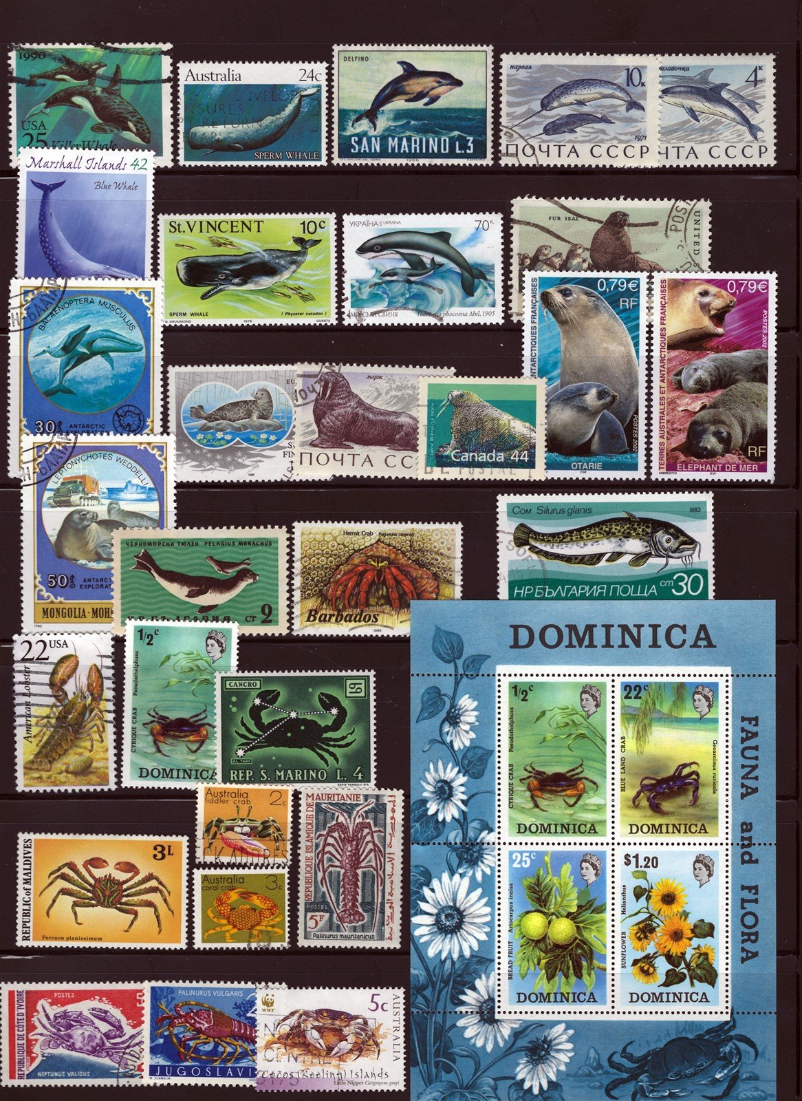 Marine Life, Fish, Whales, Seals Mint/Used Collection on 8 Pages ZAYIX 0525L0007