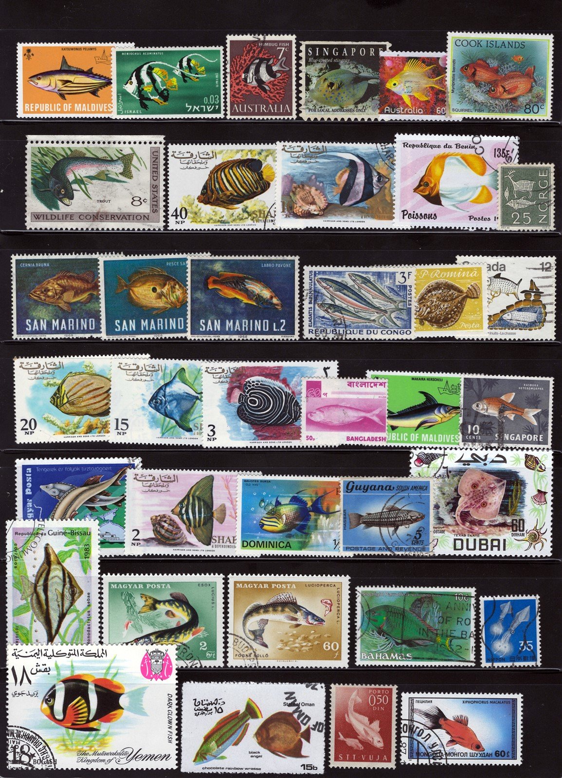 Marine Life, Fish, Whales, Seals Mint/Used Collection on 8 Pages ZAYIX 0525L0007