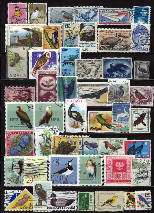 Birds Stamp Collection Mint/Used All Different Zayix Stamps 0425S0301
