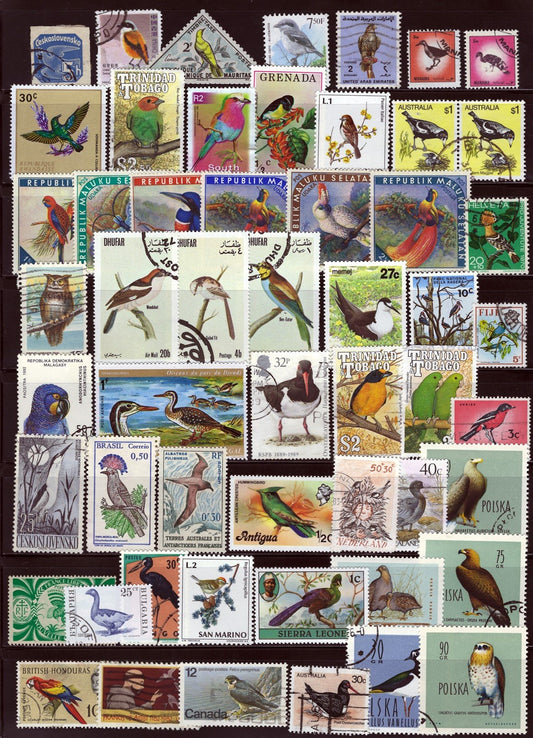 Birds Stamp Collection Mint/Used All Different Zayix Stamps 0425S0302