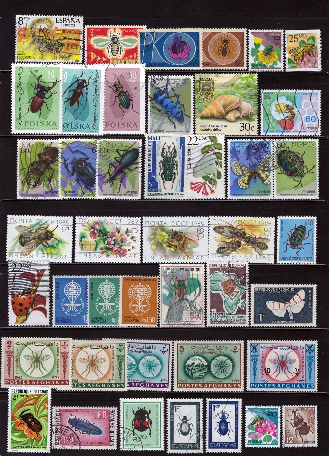 Insects, Beetles, Spiders, Bees Topical Collection on 3 Pages ZAYIX 0525L0008