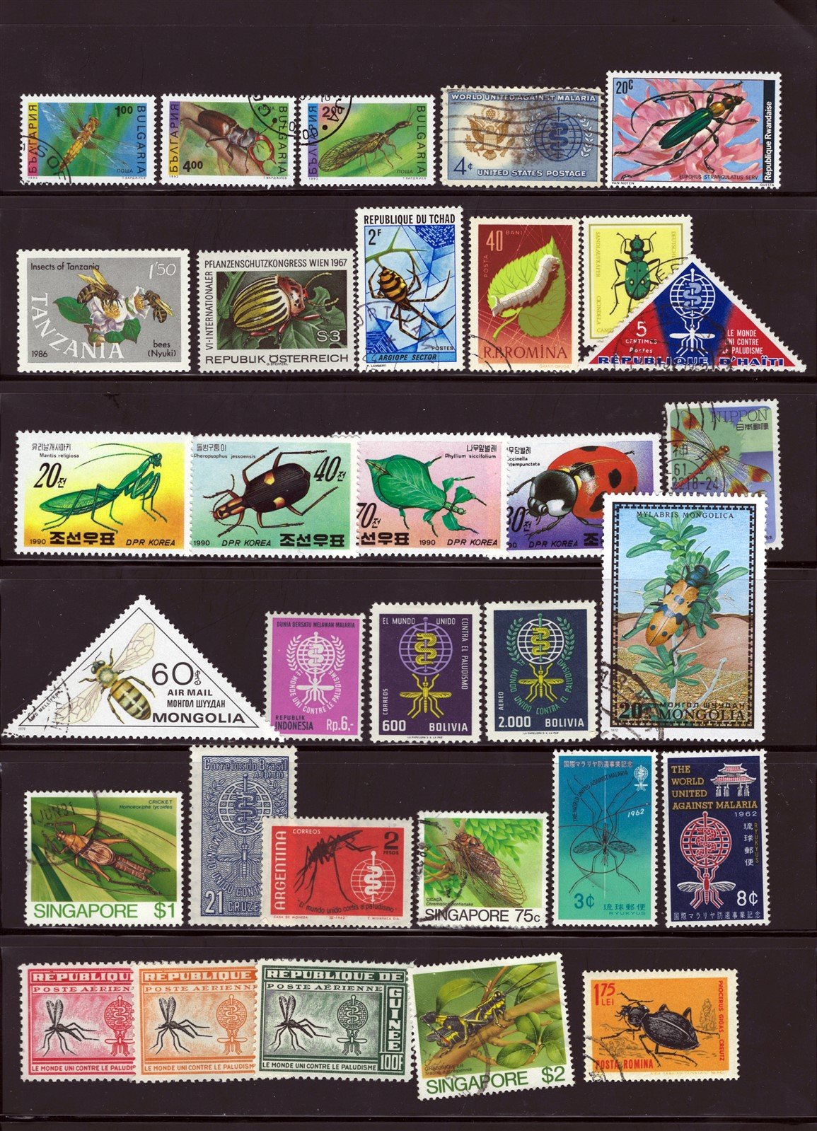 Insects, Beetles, Spiders, Bees Topical Collection on 3 Pages ZAYIX 0525L0008