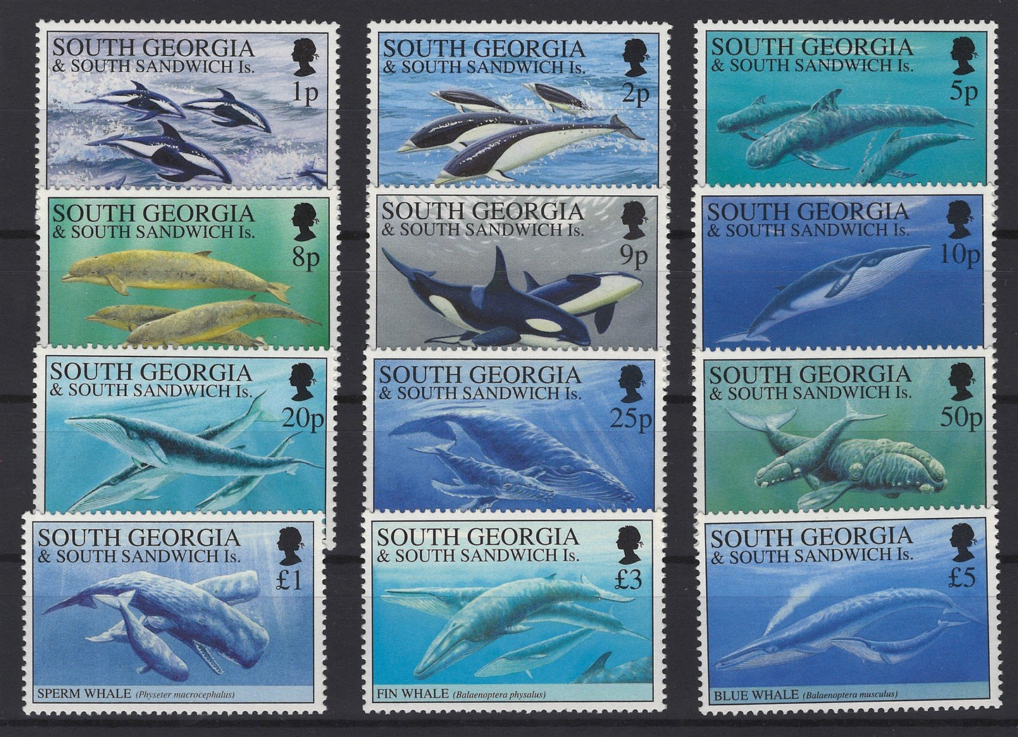 South Georgia 178-189 MNH VF Whales & Dolphins ZAYIX STAMP 0525S0062