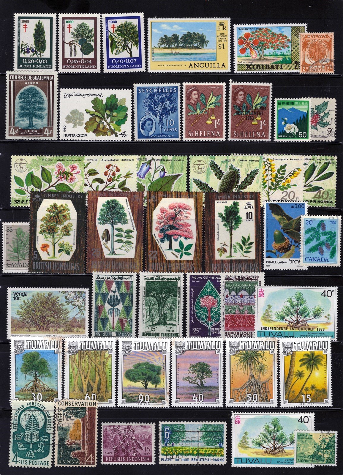 Trees & Forests Mint & Used Topical Stamp Collection 2 Pages ZAYIX 0525L0023