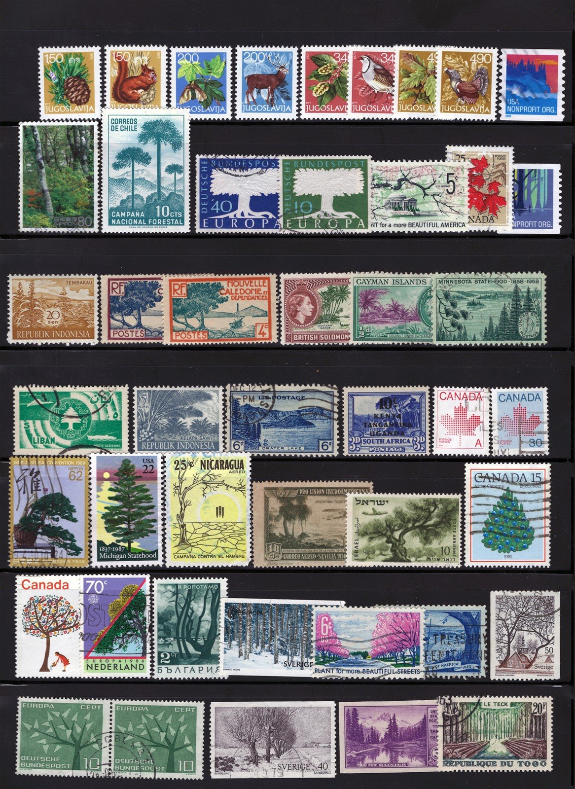 Trees & Forests Mint & Used Topical Stamp Collection 2 Pages ZAYIX 0525L0023