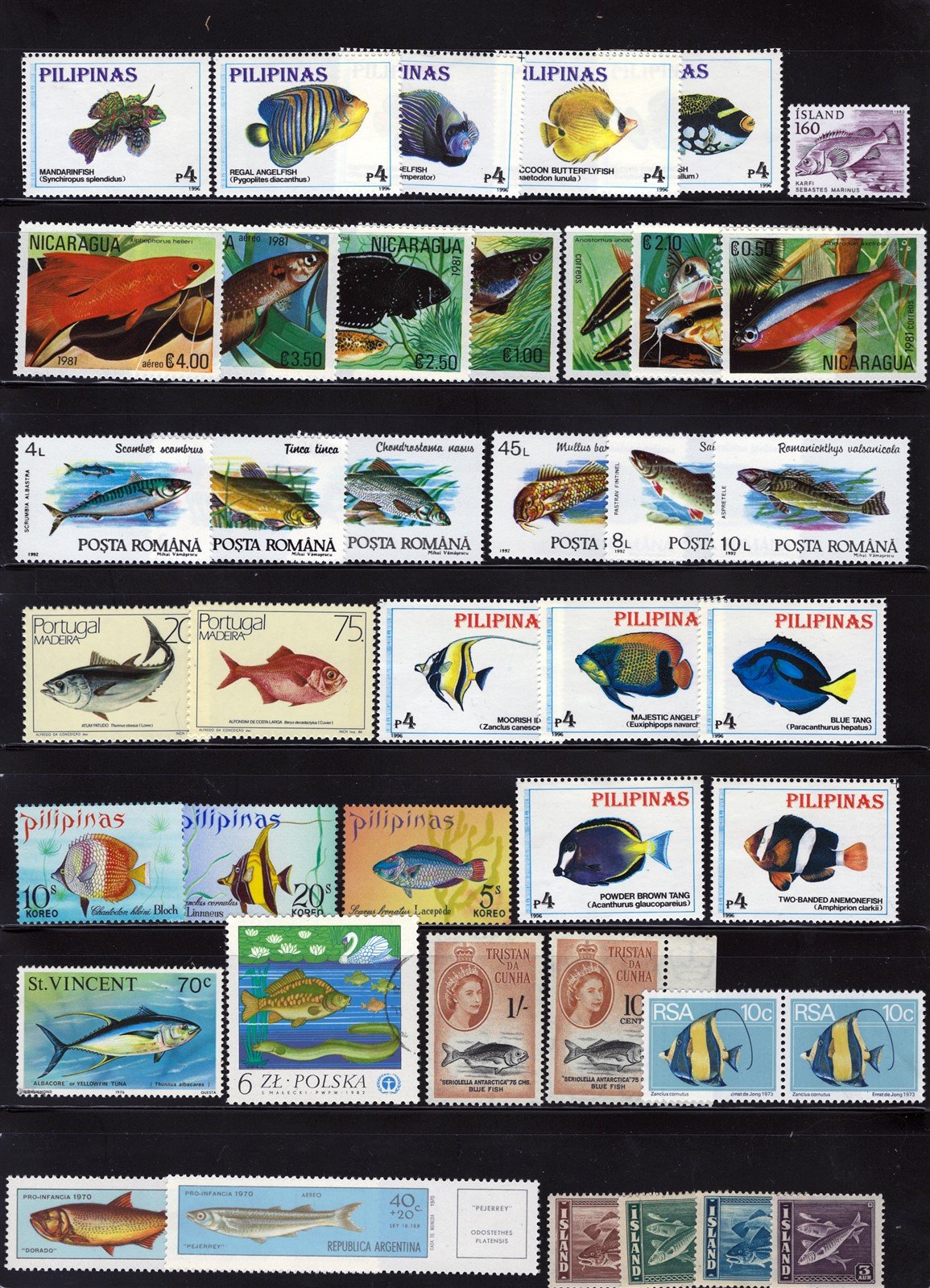 Fish, Fresh and Saltwater Species Mint/Used Stamp Collection ZAYIX 0525L0041