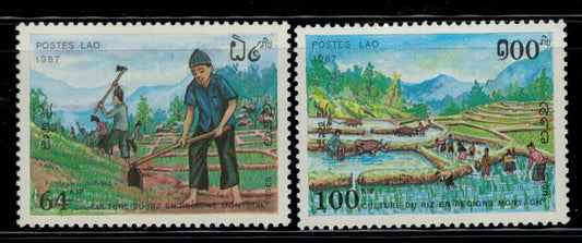 ZAYIX - Laos 832-833 MH Farming Cultivation of Rice