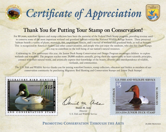 US Duck Stamp 2013 Certificate of Appreciation Card RW80 JDS21 ZAYIX 0625L0062M