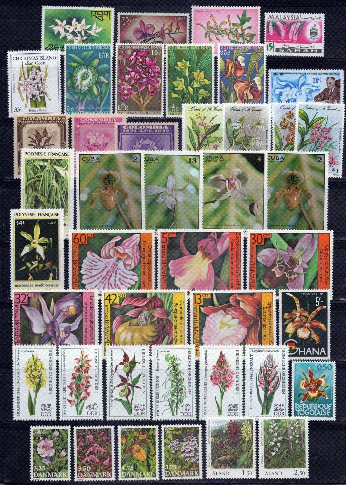 Orchid Collection MNH Flowers Plants ZAYIX 0324M0096