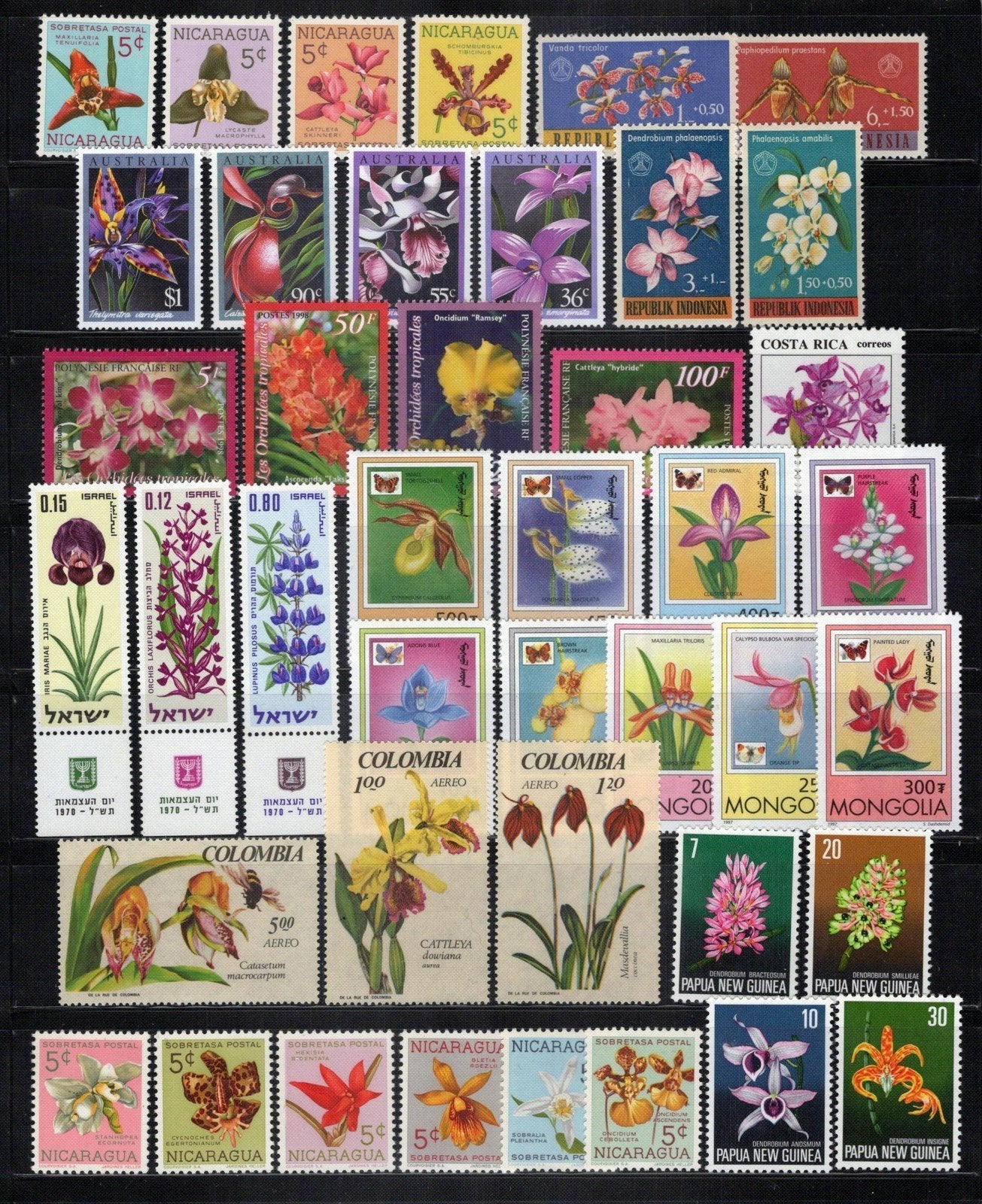 Orchid Collection MNH Flowers Plants ZAYIX 0324M0097
