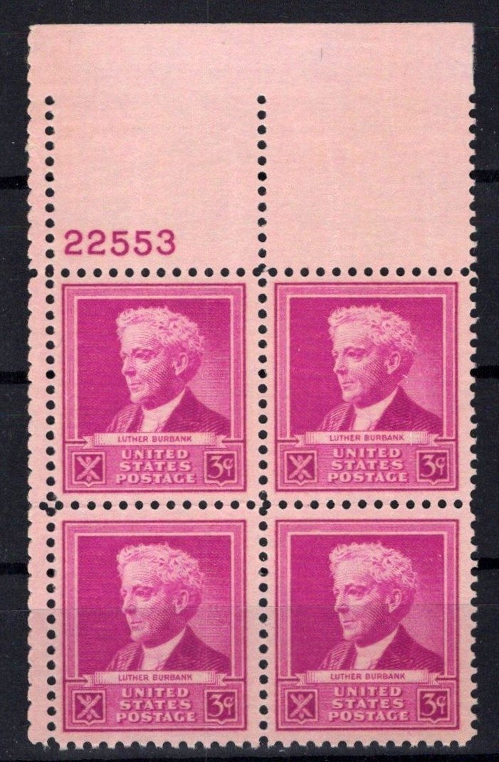 United States 876 MNH Plate Block Luther Burbank ZAYIX STAMPS 0725S1442