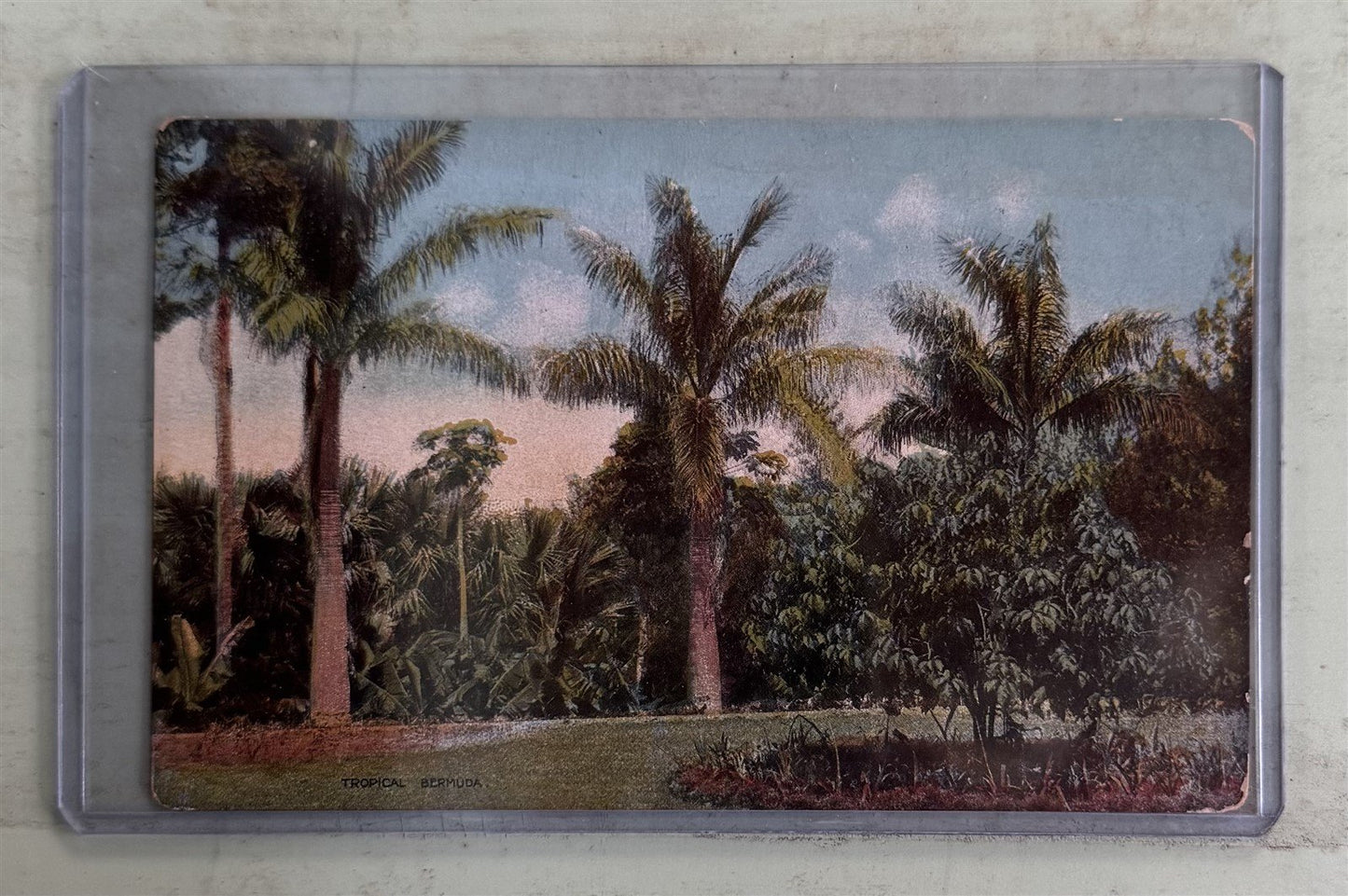 Valuable Postage Due Classic Postcards Collection ZAYIX 0825M1548