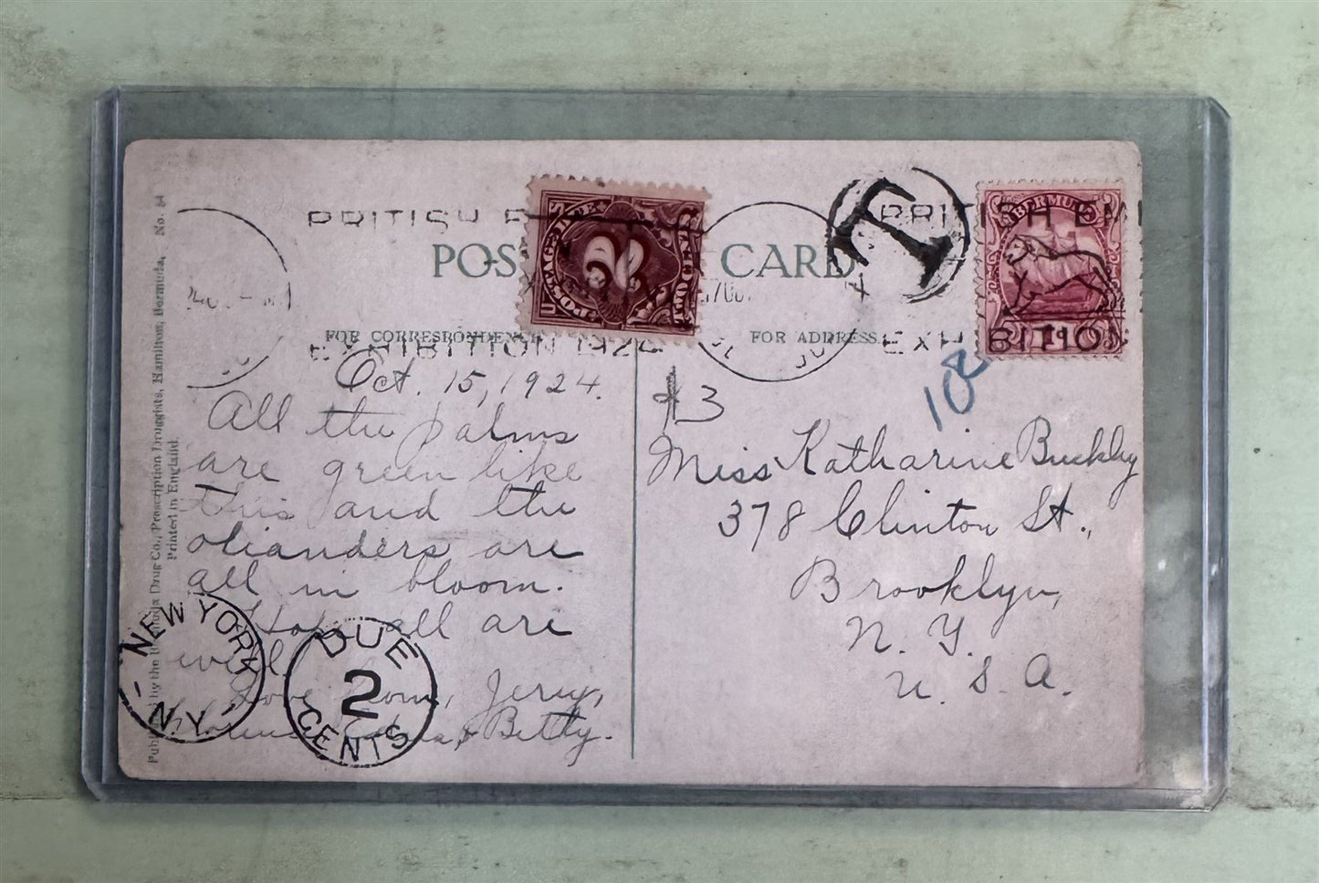 Valuable Postage Due Classic Postcards Collection ZAYIX 0825M1548