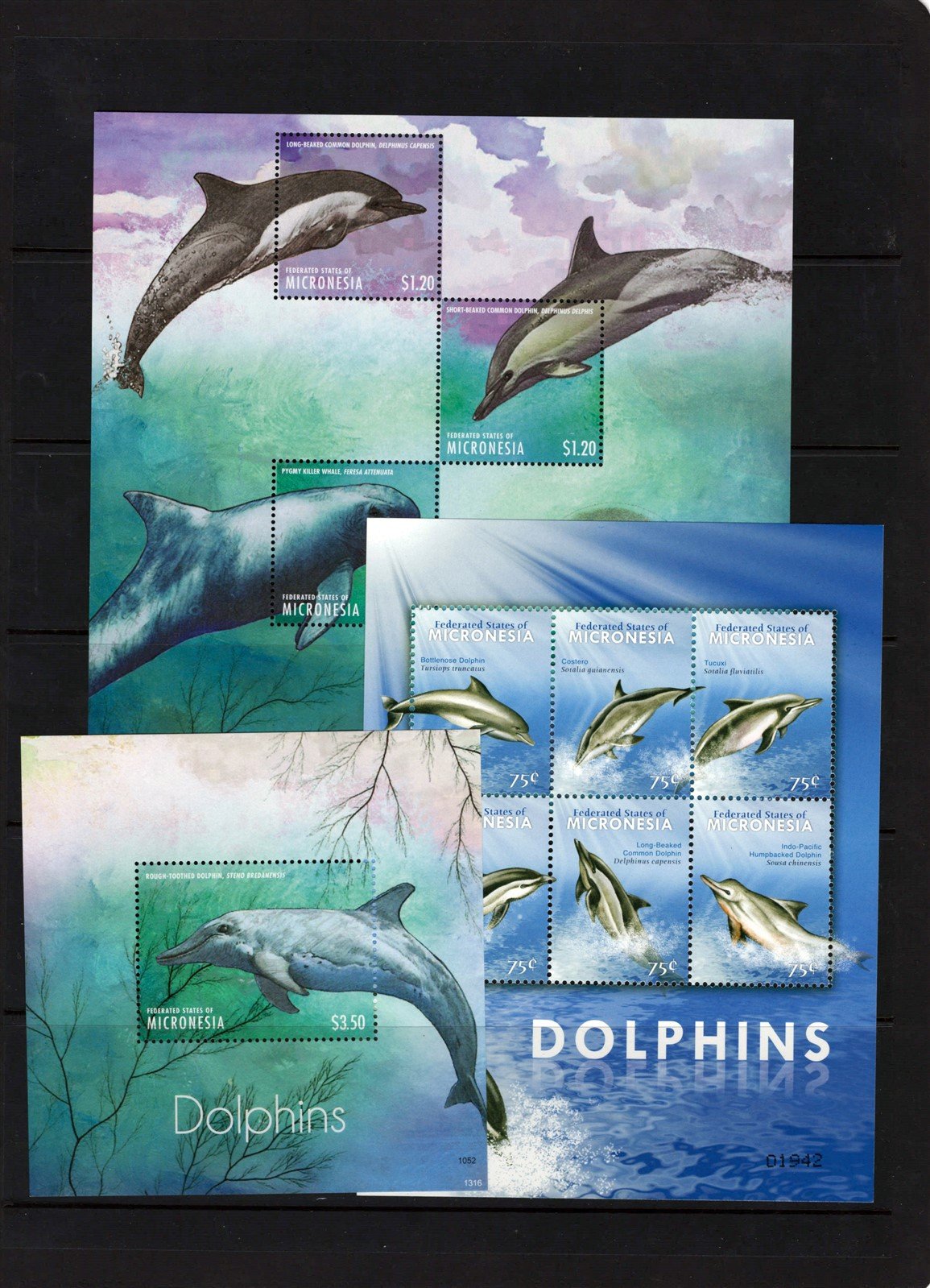 Whales, Dolphins, Penguins, Polar Bears, Micronesia Collection ZAYIX 0825L1694