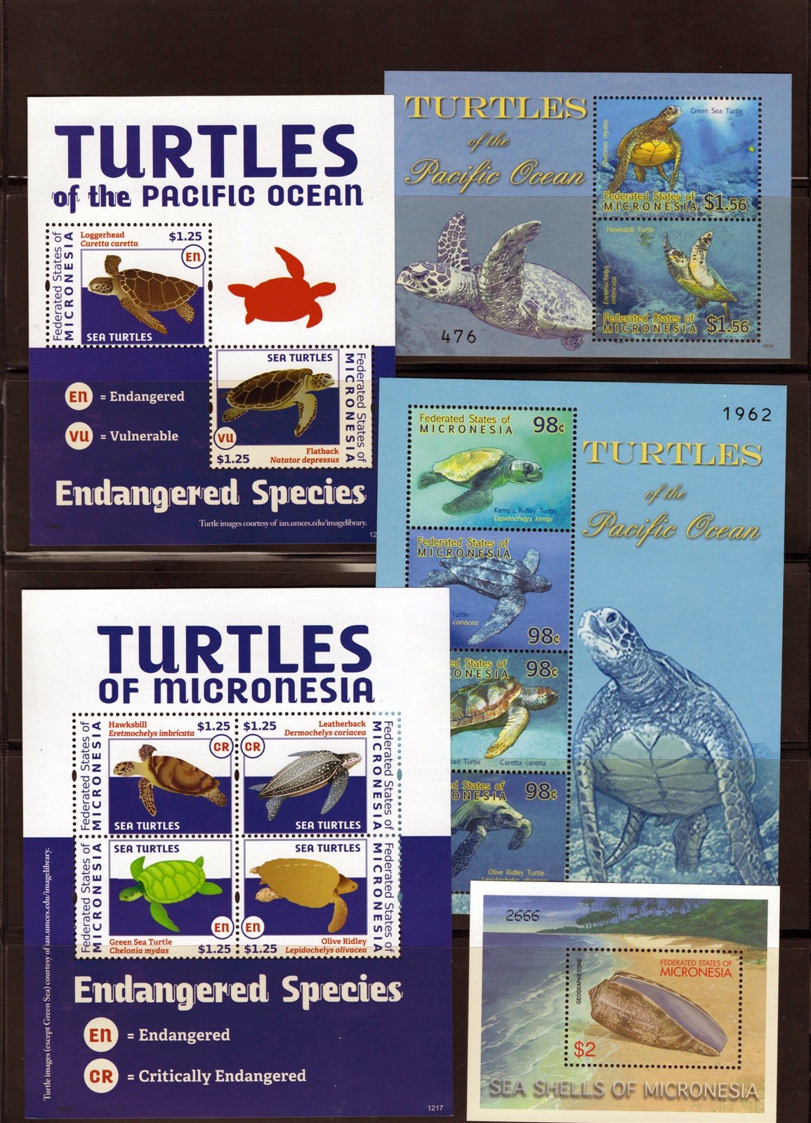 Micronesia Marine Life, Seashells, Sea Turtles MNH Collection ZAYIX 0825L1695