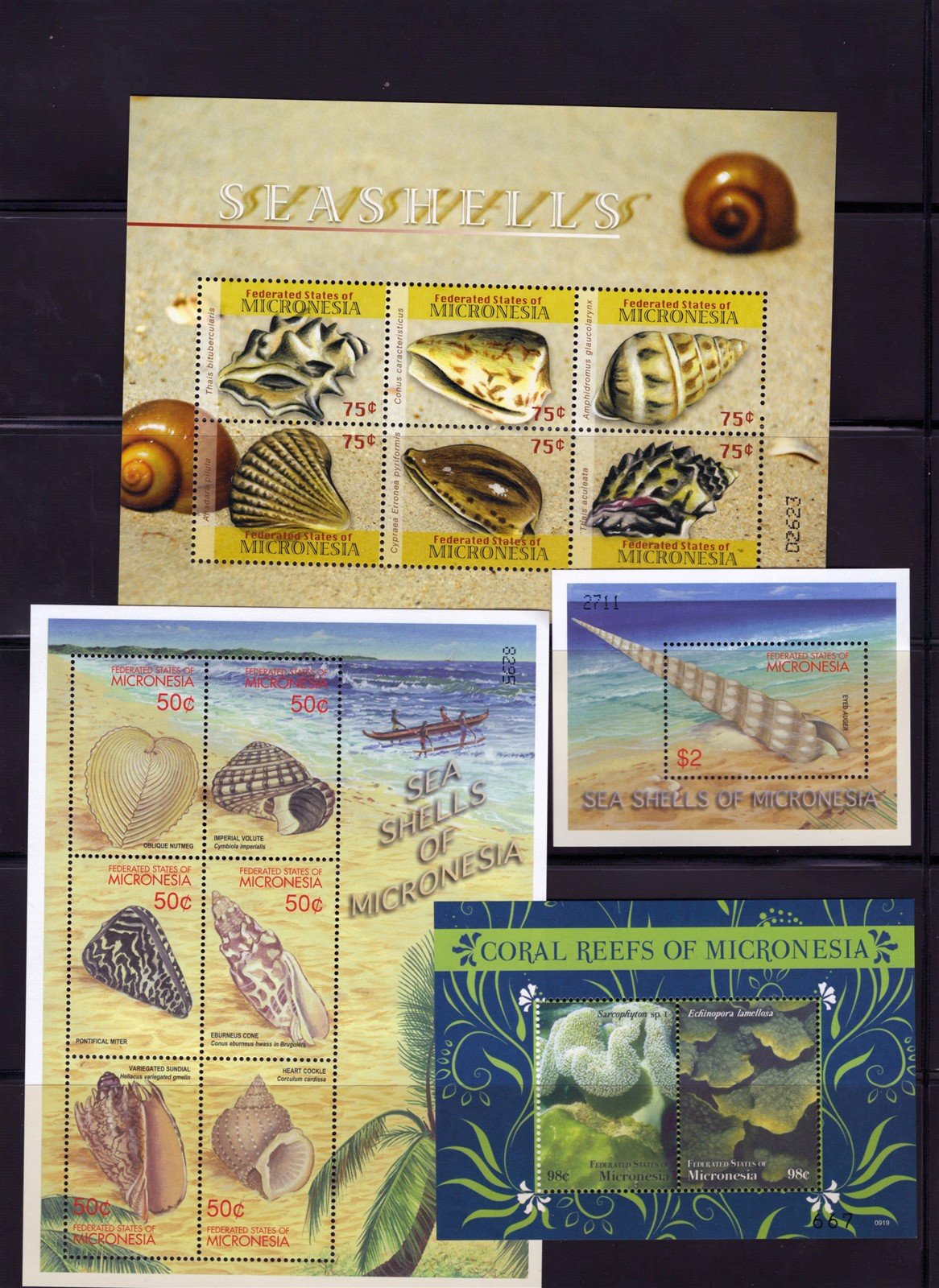Micronesia Marine Life, Seashells, Sea Turtles MNH Collection ZAYIX 0825L1695
