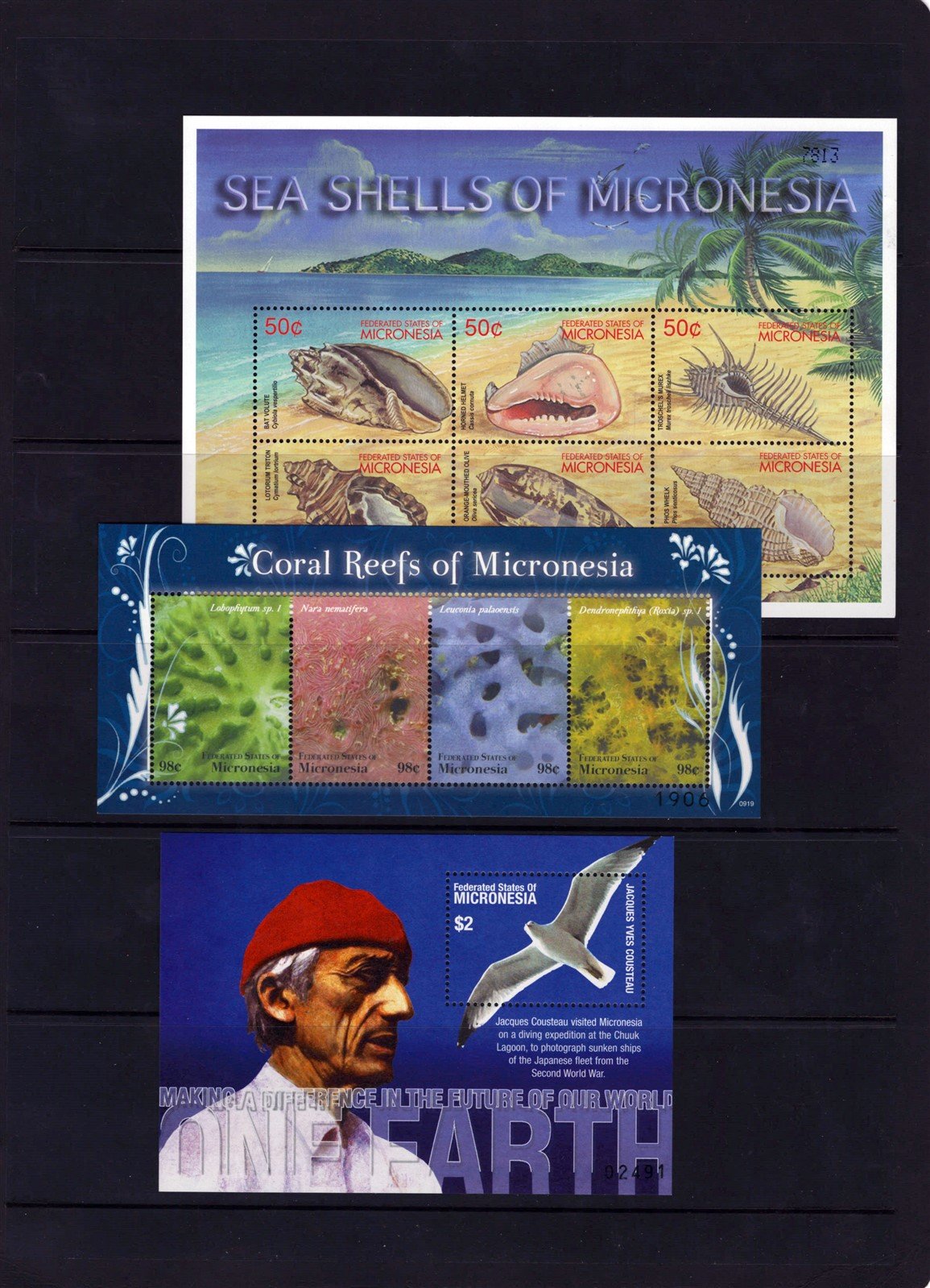 Micronesia Marine Life, Seashells, Sea Turtles MNH Collection ZAYIX 0825L1695