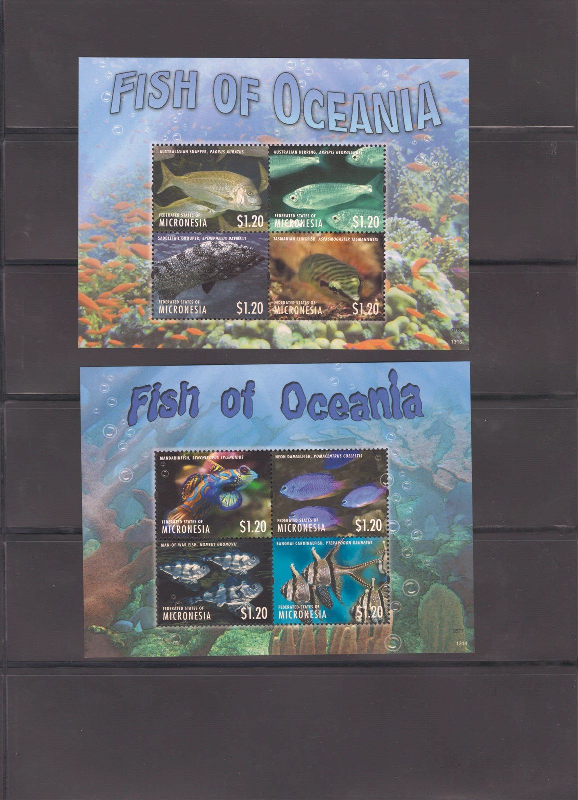Tropical Fish and Coral Reefs, 6 Page Micronesia MNH Collection ZAYIX 0825L1697