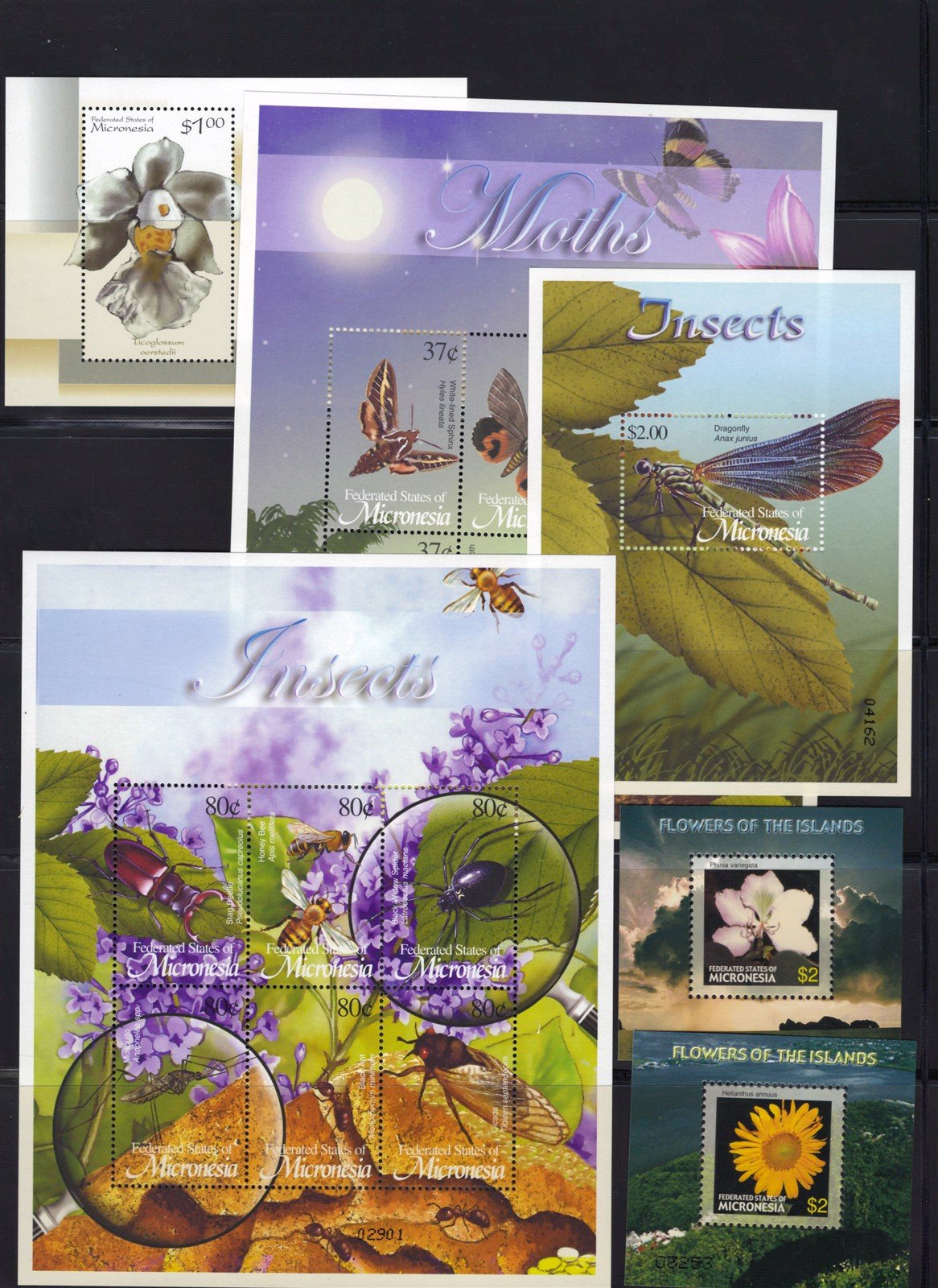 Butterflies, Insects, Flowers, Mushrooms, Micronesia Collection ZAYIX 0825L1699