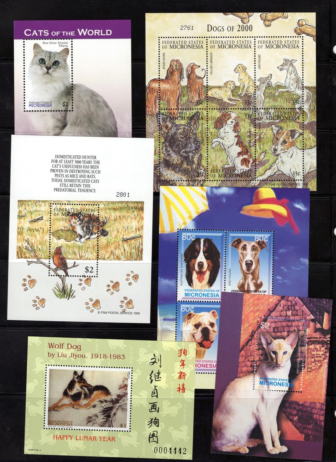 Dogs & Cats MNH Super Cute Three-Page Collection Micronesia ZAYIX 0825L1708