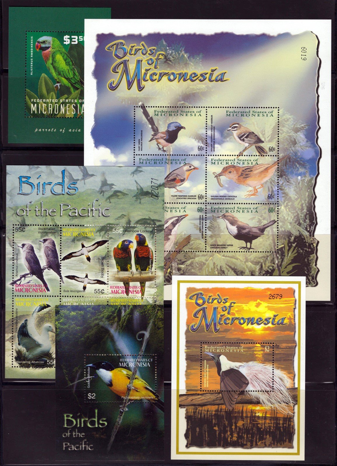 Birds MNH 5-Page Collection, Owls, Parrots, Peacocks Micronesia ZAYIX 0825L1711