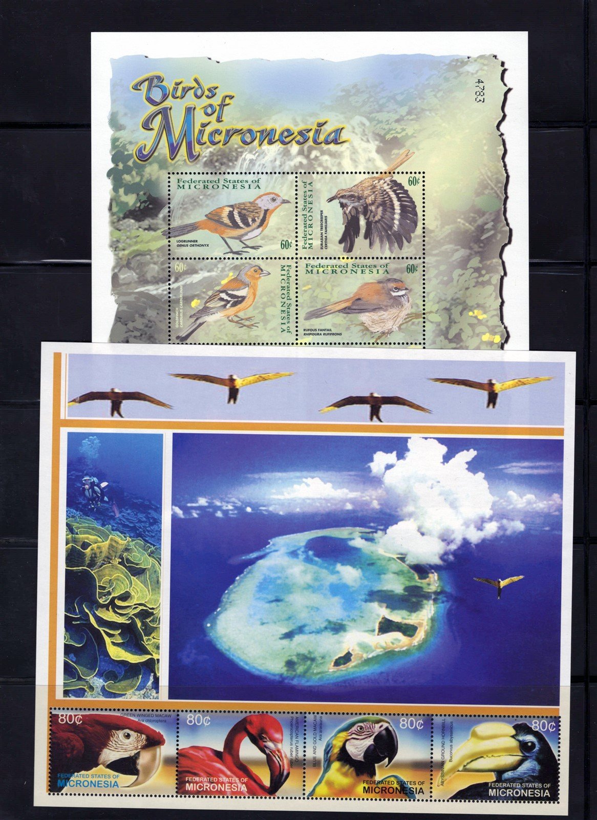 Birds MNH 5-Page Collection, Owls, Parrots, Peacocks Micronesia ZAYIX 0825L1711
