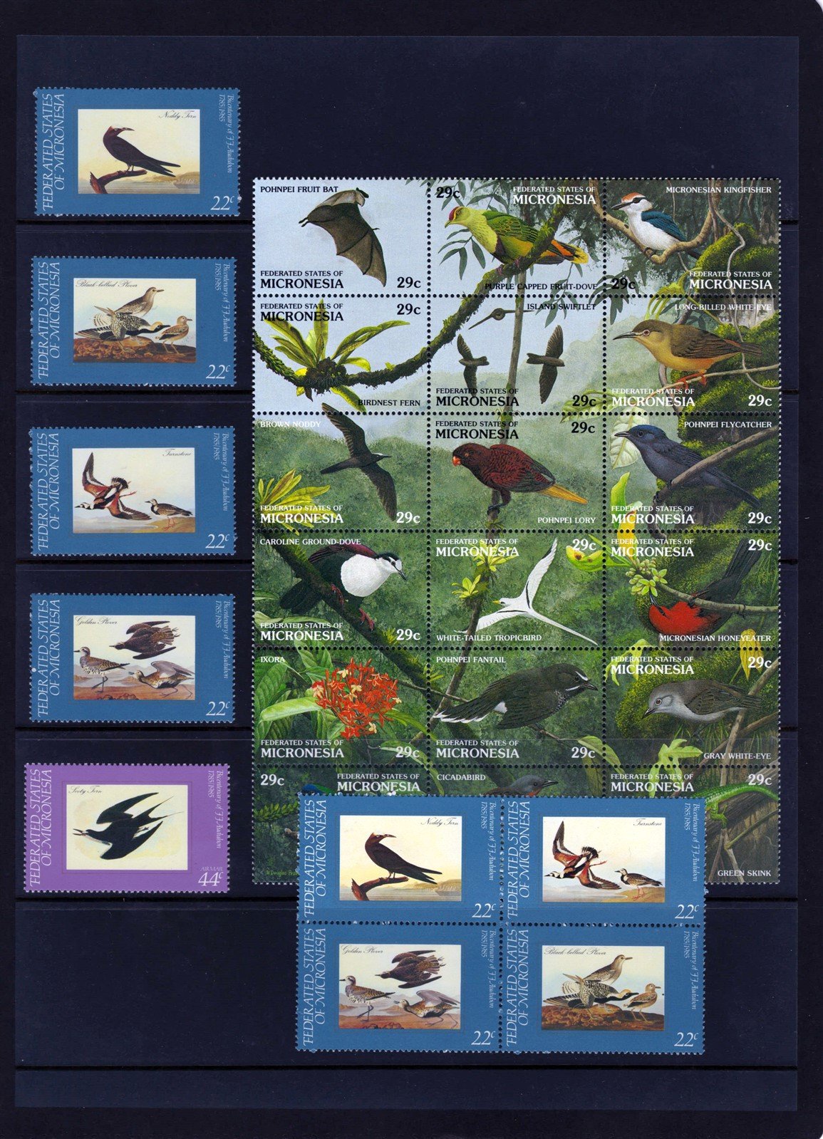 Birds MNH 5-Page Collection, Owls, Parrots, Peacocks Micronesia ZAYIX 0825L1711