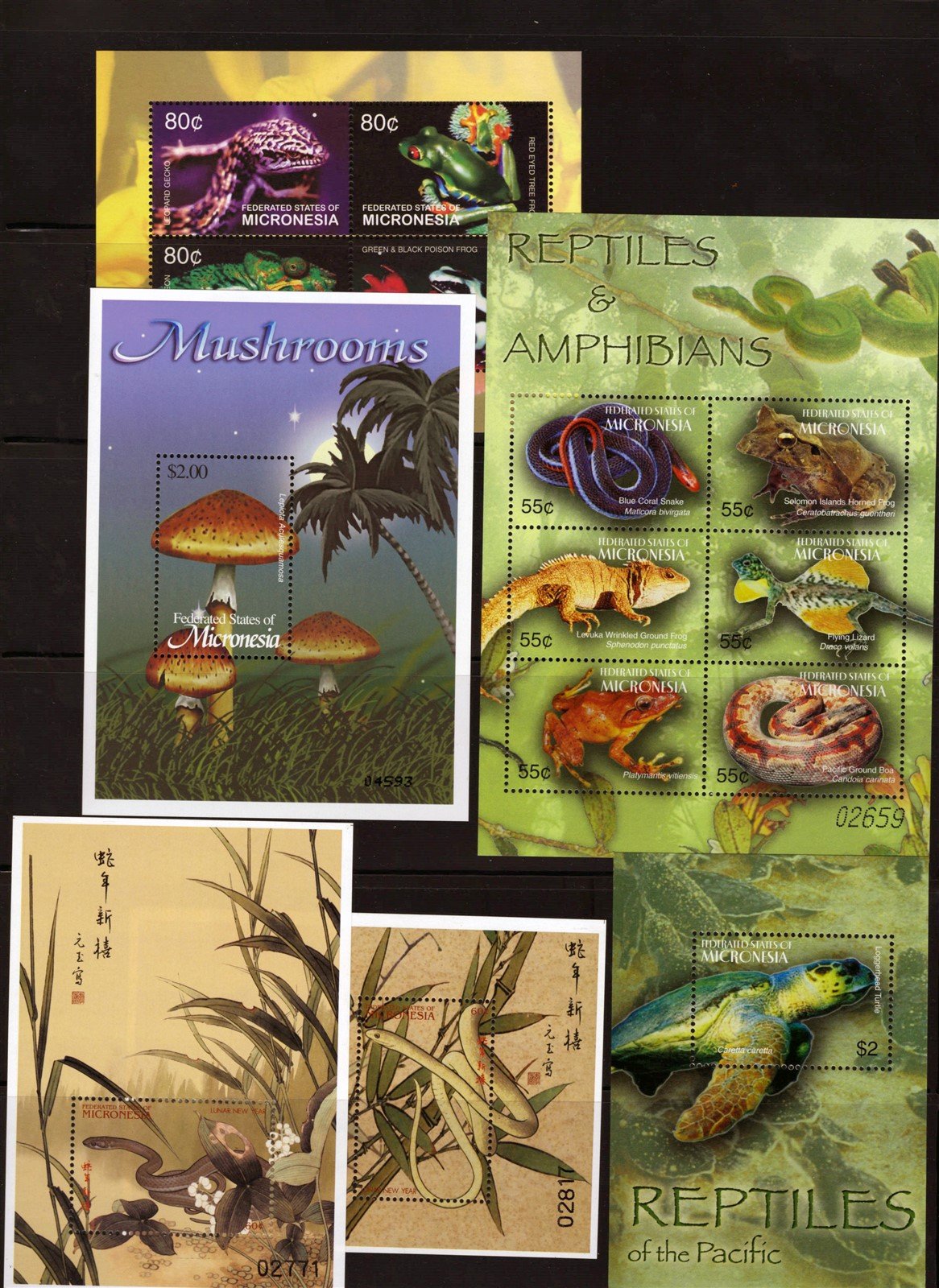 Micronesia Island Ecology MNH Stamp Collection on 12 Stock Pages ZAYIX 0825L1759