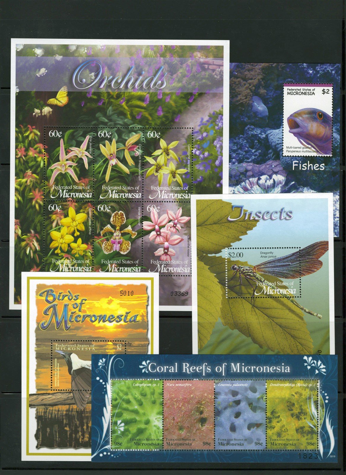 Micronesia Island Ecology MNH Stamp Collection on 12 Stock Pages ZAYIX 0825L1759