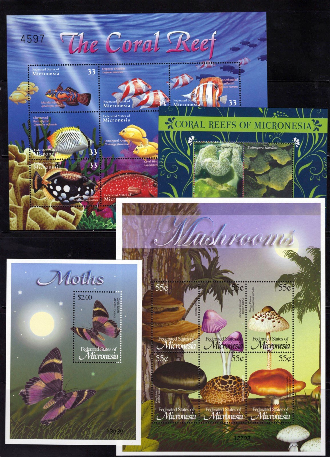 Micronesia Island Ecology MNH Stamp Collection on 12 Stock Pages ZAYIX 0825L1759