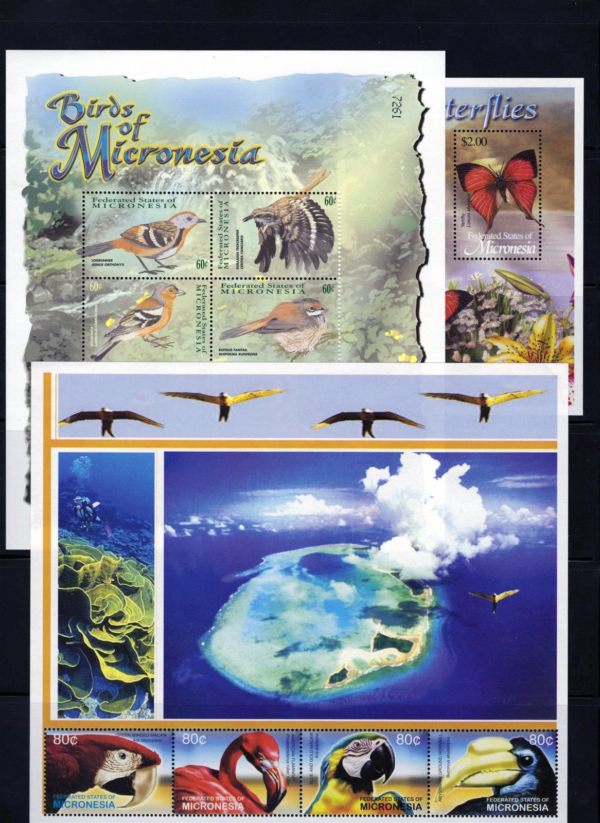 Micronesia Island Ecology MNH Stamp Collection on 12 Stock Pages ZAYIX 0825L1759