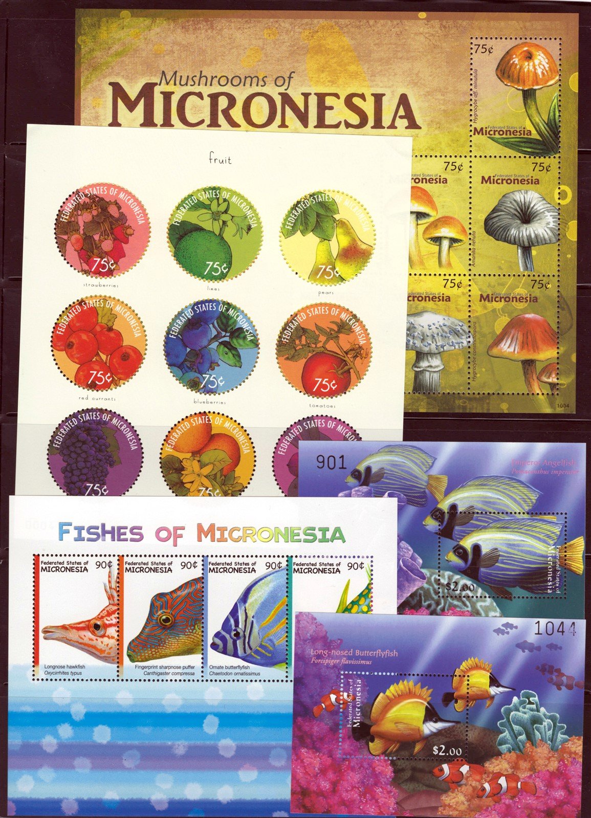 Micronesia Island Ecology MNH Stamp Collection on 12 Stock Pages ZAYIX 0825L1759