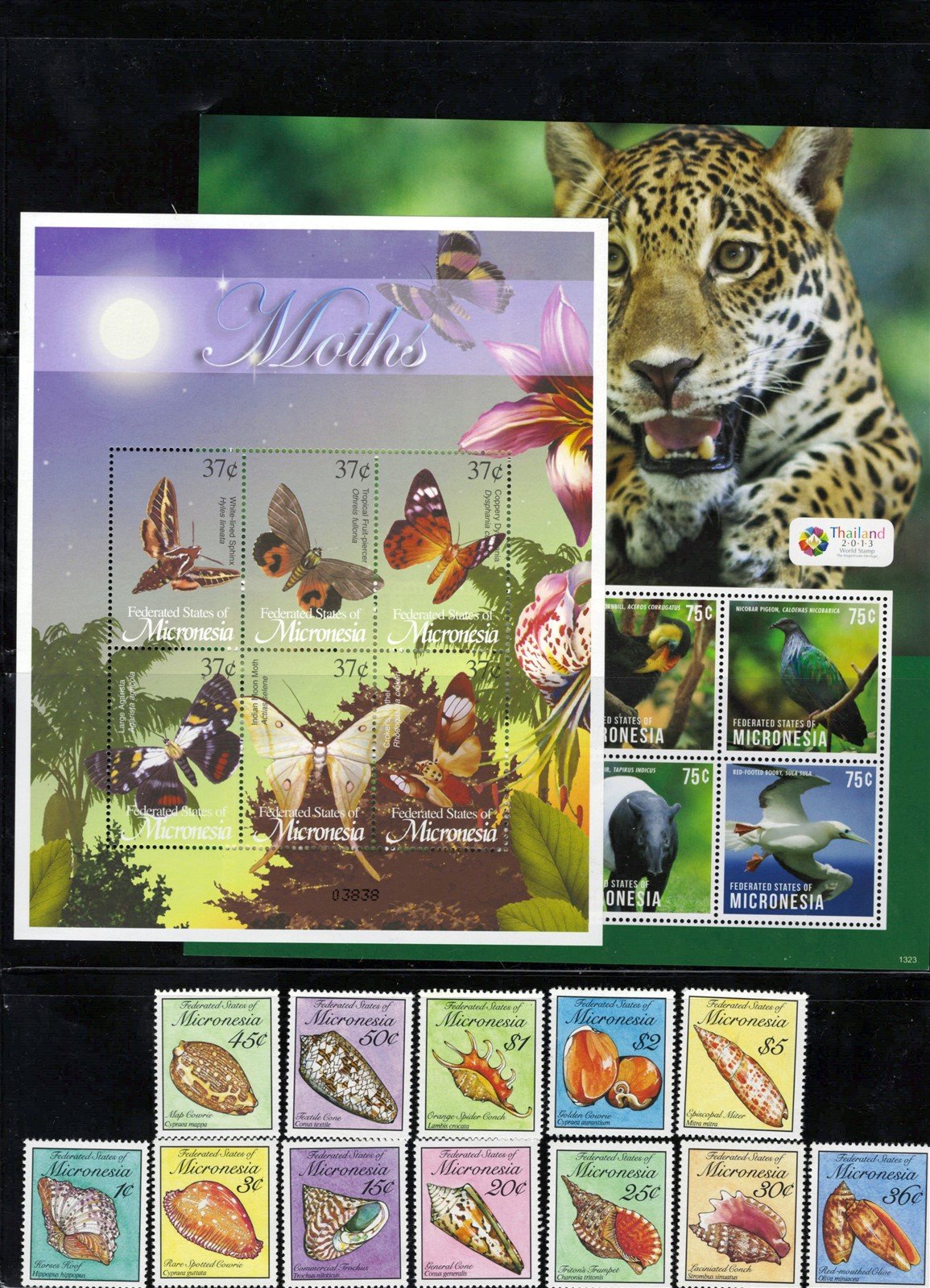 Micronesia Island Ecology MNH Stamp Collection on 12 Stock Pages ZAYIX 0825L1759