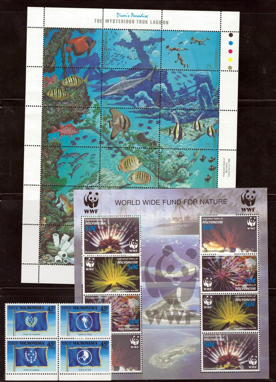 Micronesia Island Ecology MNH Stamp Collection on 12 Stock Pages ZAYIX 0825L1759